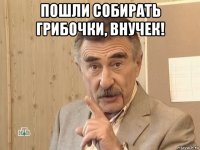 пошли собирать грибочки, внучек! 