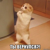  ты вернулся?!