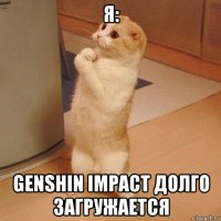 я: genshin impact долго загружается