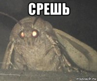 срешь 