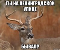 ты на ленинградской улице бывал?