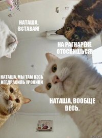 Наташа, вставай! На Рагнарёке отоспишься! Наташа, мы там весь Иггдрасиль уронили Наташа, вообще весь.