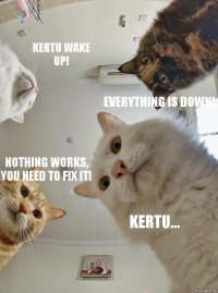 Kertu wake up! Everything is down! Nothing works, you need to fix it! Kertu...