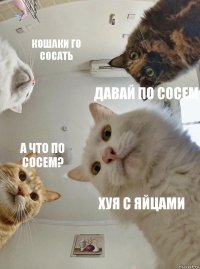 Кошаки го сосать Давай по сосем А что по сосем? Хуя с яйцами