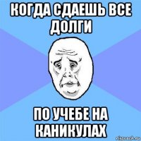 когда сдаешь все долги по учебе на каникулах