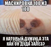 маскировка 100 из 100 я каторый думую а эта как он дуда залез?