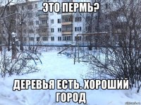 это пермь? деревья есть. хороший город