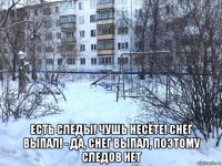  есть следы! чушь несёте! снег выпал! - да, снег выпал, поэтому следов нет