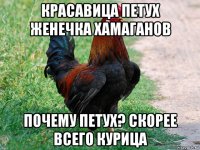 красавица петух женечка хамаганов почему петух? скорее всего курица