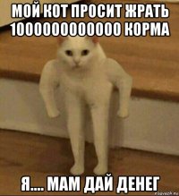 мой кот просит жрать 1000000000000 корма я.... мам дай денег