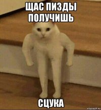 щас пизды получишь сцука