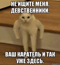 не ищите меня, девственники. ваш каратель и так уже здесь.