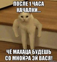 после 1 часа качалки... чё махаца будешь со мной?а эй вася!