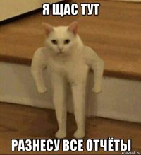 я щас тут разнесу все отчёты