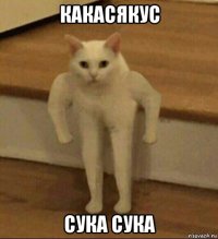 какасякус сука сука