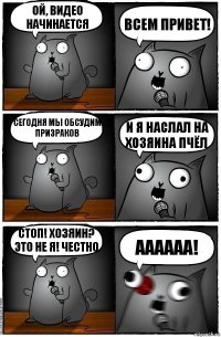 Ой, видео начинается Всем привет! Сегодня мы обсудим призраков И я наслал на хозяина пчёл Стоп! Хозяин? Это не я! Честно Аааааа!