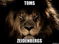 toms zeidenbergs