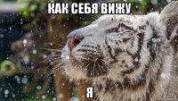 как себя вижу я