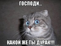 господи... какой же ты дурак!!!