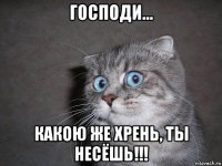 господи... какою же хрень, ты несёшь!!!