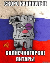 скоро каникулы! солнечногорск! янтарь!