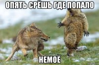 опять срëшь где попало немоë