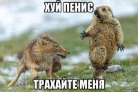 хуй пенис трахайте меня