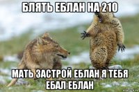 блять еблан на 210 мать застрой еблан я тебя ебал еблан