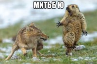 митьб ю 