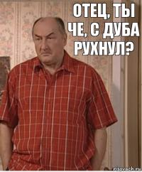 Отец, ты че, с дуба рухнул?