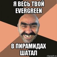 я весь твой evergreen в пирамидах шатал