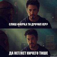 Слиш фюри,а ти дрочил хер? Да нет нет ничего тише