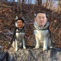 Создать мем Elbegdorj husky and Battulga malamute