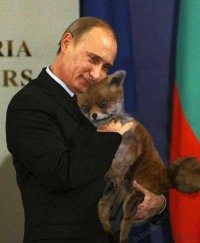 Создать мем Путин и лиса