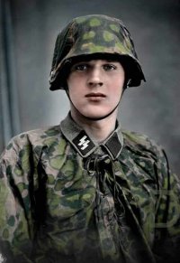 Создать мем Waffen SS