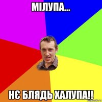 мілупа... нє блядь халупа!!