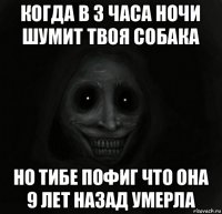 когда в 3 часа ночи шумит твоя собака но тибе пофиг что она 9 лет назад умерла