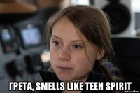  грета, smells like teen spirit