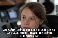  зиг хайль! сейчас они набегут, а потом их надо будет отстреливать. или сейчас отстреливать?