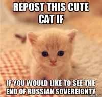 repost this cute cat if if you would like to see the end of russian sovereignty