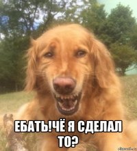  ебать!чё я сделал то?