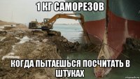 1 кг саморезов когда пытаешься посчитать в штуках