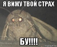 я вижу твой страх бу!!!!