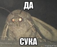 да сука