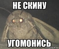 не скину угомонись