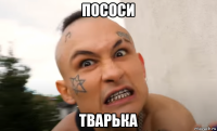 пососи тварька