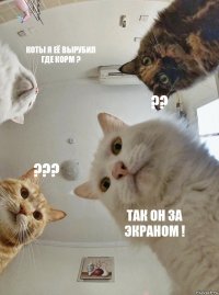 Коты я её вырубил где корм ? ?? ??? Так он за экраном !