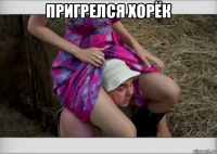 пригрелся хорёк 