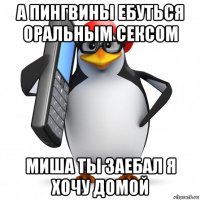 а пингвины ебуться оральным сексом миша ты заебал я хочу домой