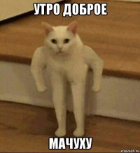 утро доброе мачуху